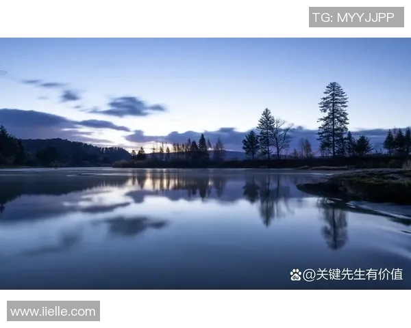 在雾霾天气中展现稳定发挥的Smoggy如何应对挑战与机遇