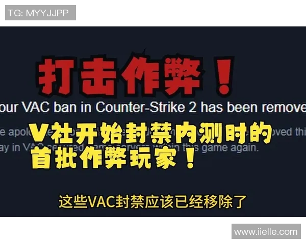 CS2VAC误封问题解决方案及玩家权益保护措施详解
